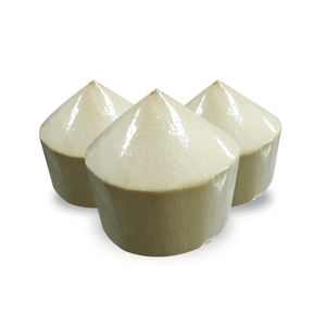 AGUA DE COCO JOVEN contacto con Ms.Holiday - Product Image 1