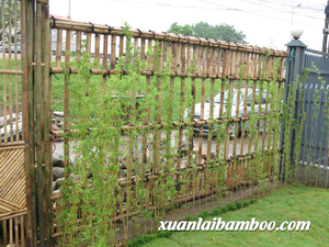 Clôtures en bambou à prix compétitif et de haute qualité au Vietnam - Product Image 6