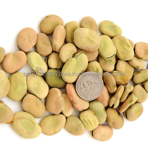 Wholesale Dried Fava <b>Beans</b> with Shell Healthy Nut Snack Fried Salty Vacuum Packed Broad <b>Beans</b> Snacks - Product Image 2