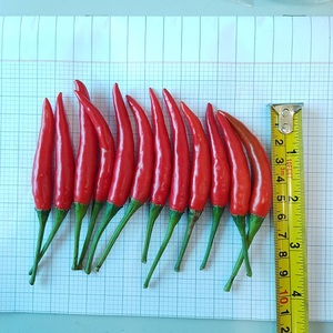 Organic Vietnam 150g Fresh Frozen Red Chilli Stems Vacuum PE Bags 4-6cm Top Grade 24 Bags/Carton Agriculture Product - Product Image 2