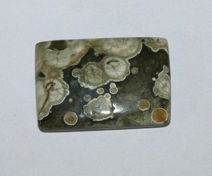 Cabochon de jaspe de forêt tropicale Rhyolite lisse Pierre précieuse naturelle en vrac pour la fabrication de bijoux - Product Image 2