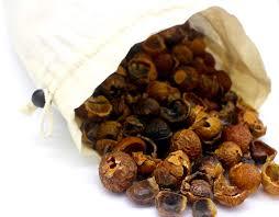 Vente en gros de poudre de fruits reedea, origine indienne - Product Image 3