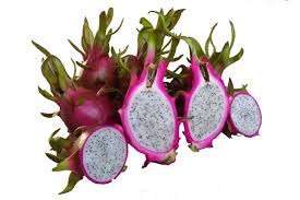 Fruta de dragón fresca de carne blanca de Vietnam - Product Image 2