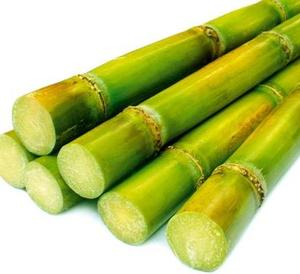 Déchets de canne à sucre à prix avantageux provenant de la sucrerie - Product Image 4