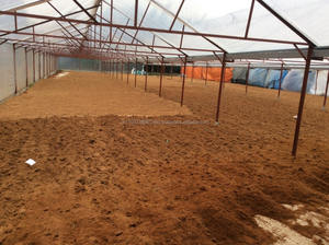 ผงมะพร้าวสำหรับใช้ในการเกษตร - Product Image 4