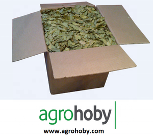 El más vendido Hojas de Laurel secas de origen turco 5-10cm Bahía Primer grado ISO Certificado Recogido a mano Especias individuales Hierbas 10kg Dibujos animados - Product Image 3