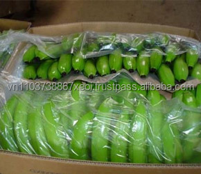 BANANA FRESCA ECOLÓGICA EN VIETNAM/MS VACACIONES - Product Image 5