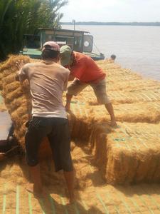 VIETNAM SUPPLIER COCONUT FIBER GOOD PRICE - Product Image 3