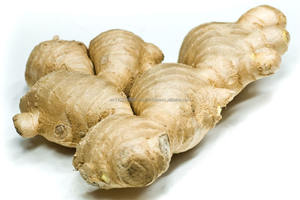 Vietnam High Quality Ginger / <b>Fresh</b> Ginger - Product Image 4