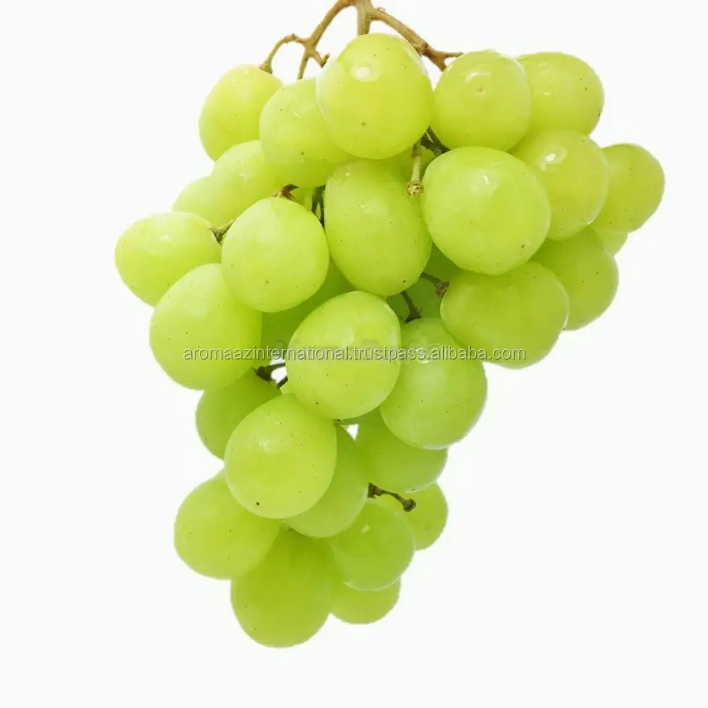 Высокочистое масло виноградных косточек | Натуральный растительный экстракт высокое качество масло виноградных косточек CAS 8024-22-4