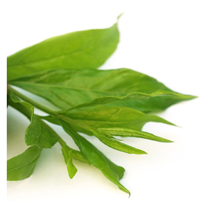 Yemen ผงแต่งผมสีน้ำตาลเข้มออร์แกนิคแท้สามชั้นแบบกึ่งถาวร - Product Image 5