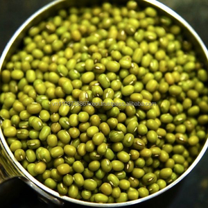 <b>GREEN</b> <b>BEAN</b> HIGH QUALITY FROM VIET NAM in 2020 - Product Image 2
