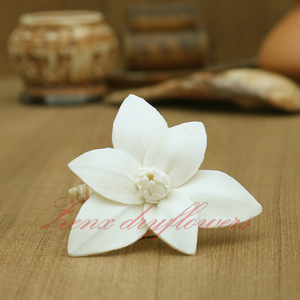 Diffuseur de parfum en bois de Sola Champa fleur écologique en gros Mèche en coton faite à la main pour la Saint-Valentin avec motif Lotus - Product Image 2