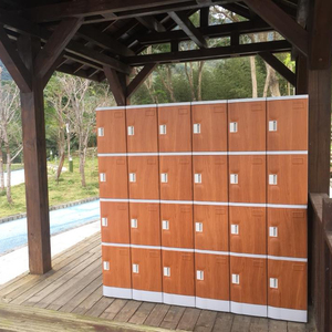 ABS Plastic Hot Spring Park Resort Center Locker - Product Image 1