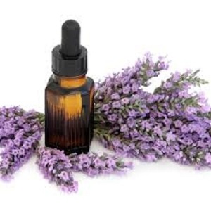 ผู้จำหน่ายน้ำมันลาเวนเดอร์บริสุทธิ์100% จากอินเดีย - Product Image 1