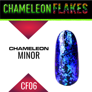 Paillettes Caméléon pour Ongles, Décorations Caméléon pour Ongles - Product Image 5