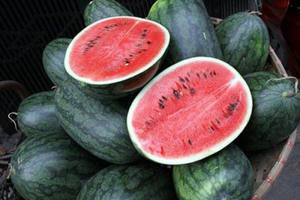 100% Fruta Sandía Natural para Importadores - Product Image 2