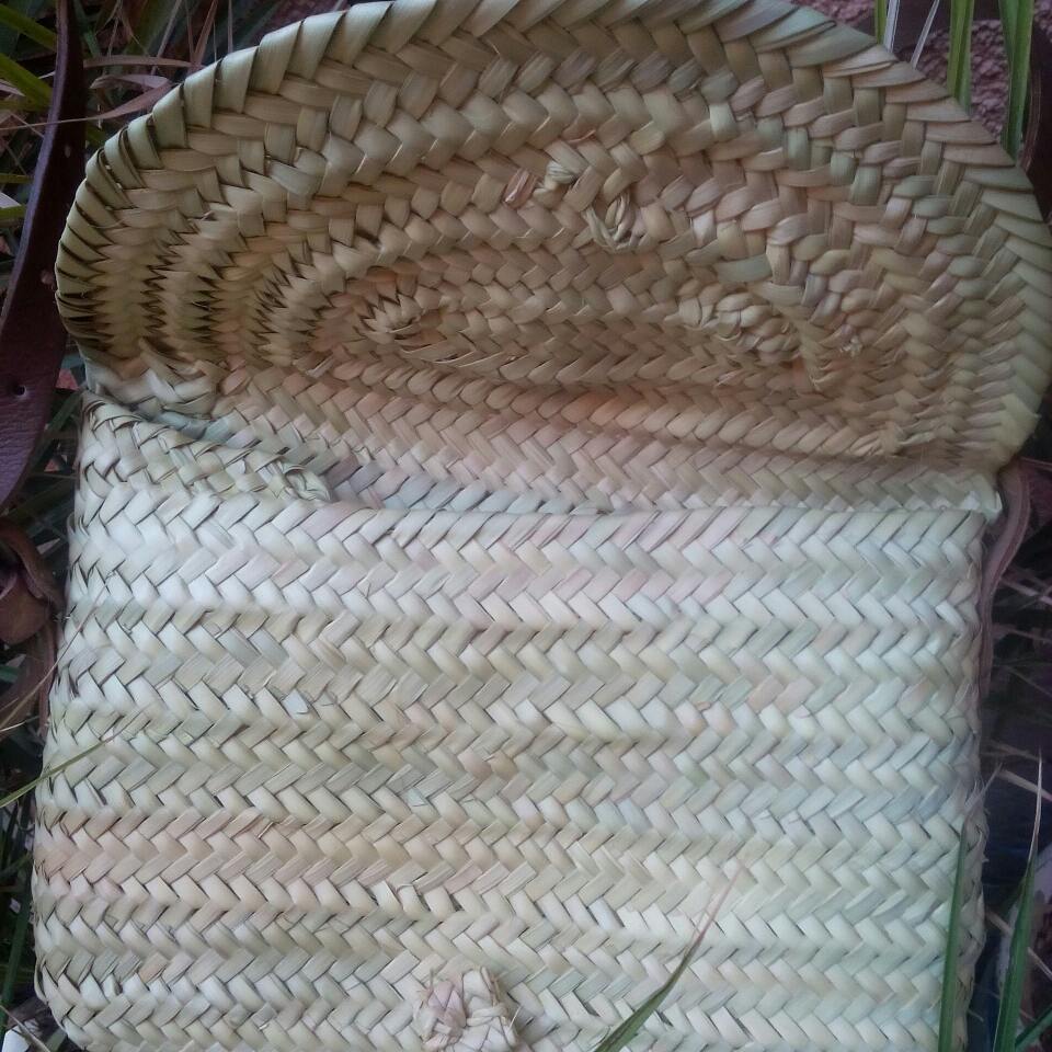 Palm