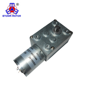 Cửa Sổ Tự Động 12V Mô-men Xoắn Cao Dc Worm Gear Motor ET-WGM46 - Product Image 2