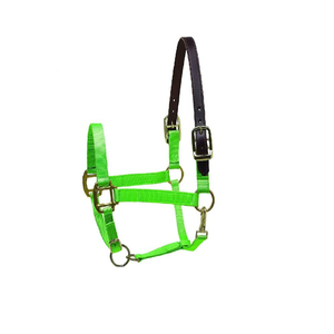 Equestrian <b>Lime</b> Premium Nylon Safety Horse Halter PP Material Horse Accessories - Product Image 1