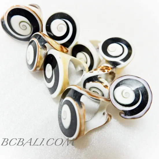 Free Shipping 100 Pieces of Shiva eyes Shells Finger Rings Original Shells Special Price from Bali