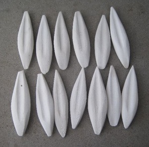 กระดูกปลาหมึกเวียดนาม ราคาแข่งขัน - Product Image 5