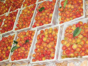 ราคาส่งผลไม้รัมบูตันสดเวียดนาม คุณภาพสูง/วันหยุด +84 845 639 639 - Product Image 2