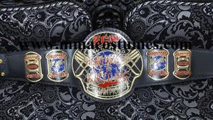 Cinturón de Campeonato de Lucha Libre Personalizable, Cinturón de Campeonato de Peso Pesado, Cinturón de Campeonato de Peso Ligero - Product Image 5