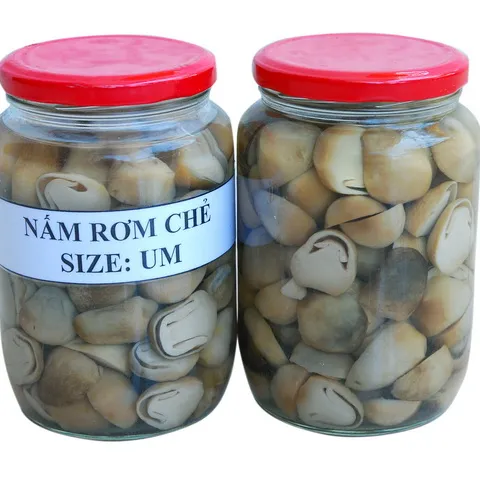 Vietnam straw mushroom / Canned mushroom high quality