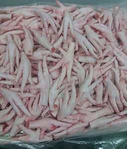 Patas de pollo congeladas de la mejor calidad, parte entera Halal con vitaminas y corte de grasa, lista para el mercado de exportación, embalaje a granel - Product Image 5