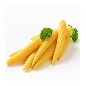 Maíz de bebé helado de Vietnam, barato - Product Image 1