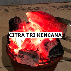 APPLE FRUIT CHARCOAL BURNING TIME 2-3 HOURS, GRADE SUPER A BEST INDONESIA CHARCOAL, FOR BBQ CHARCOAL IN Krasnoyarsk RUSIA - Product Image 1