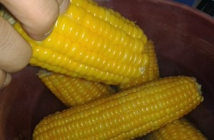 PRECIO DEL MAÍZ HIRITO CONGELADO Y ALTA CALIDAD DE VIETNAM - Product Image 2