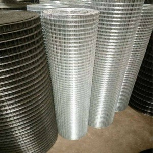 19 Gauge 1/2 Inci Galvanized <span class=keywords><strong>Welded</strong></span> <span class=keywords><strong>Wire</strong></span> <span class=keywords><strong>Mesh</strong></span>/Kain Perangkat Keras untuk Kandang 4ftx50ft - Product Image 2