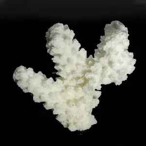 Stunning Birthstone ! Natural White Coral Cluster 48x47mm Fancy 93.10 Cts Loose Gemstone Jewellery IG9999