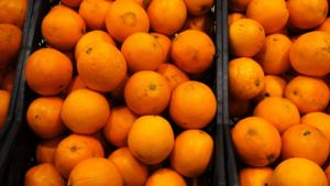 Alta Premium Fresh Valencia Naranjas Fresh 100% Natural Pure Healthy Valencia Orange En venta - Product Image 2
