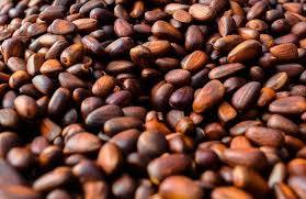 Chilgoza ถั่วไพน์พรีเมี่ยมออร์แกนิคบรรจุในบรรจุภัณฑ์แบบกำหนดเอง - Product Image 4