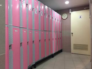 Large ABS Plastic Door Ventilation Lockers - Product Image 3