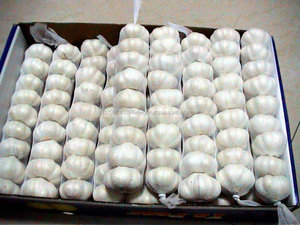 <b>Fresh</b> New <b>Garlic</b> 5.0cm Normal White <b>Garlic</b> 10kg Mesh Bag /carton - Product Image 2
