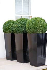 Jardinera de metal galvanizado rústico Premium para decoración de exteriores - Product Image 6