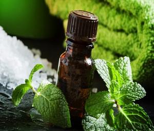 น้ำมันสะระแหน่ OEM/ฉลากส่วนตัว/บรรจุที่กำหนดเอง - Product Image 1