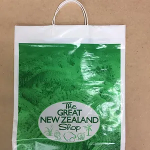 Tas Pegangan Kaku Plastik/Tas Tote Jepret Buatan Vietnam