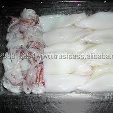 Calamar de Frozen entero - Product Image 4