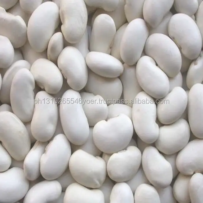 Günstige Kidney White Beans zum Verkauf