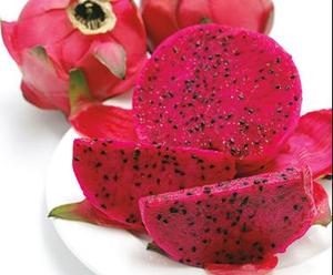 Fruit du dragon / Pitaya / Fruit du dragon 100% naturel, produit du Vietnam 2022 - Product Image 4