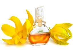 Aceite esencial de Cananga (Ylang) 100% puro y natural, aceite de aromaterapia sin diluir para la piel, el cabello y la relajación, al por mayor - Product Image 2