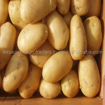 Цена на свежий картофель/поставщик картофеля/свежий картофель из бангладеш