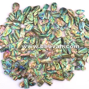 Precio del Concha de Abulón por Gramo - Product Image 4