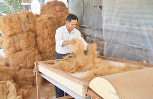 ใยมะพร้าวมะพร้าว2024พรีเมี่ยมจากเวียดนาม - Product Image 5