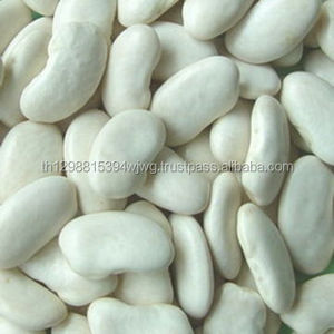 ถั่วขาวที่ดี - Product Image 2